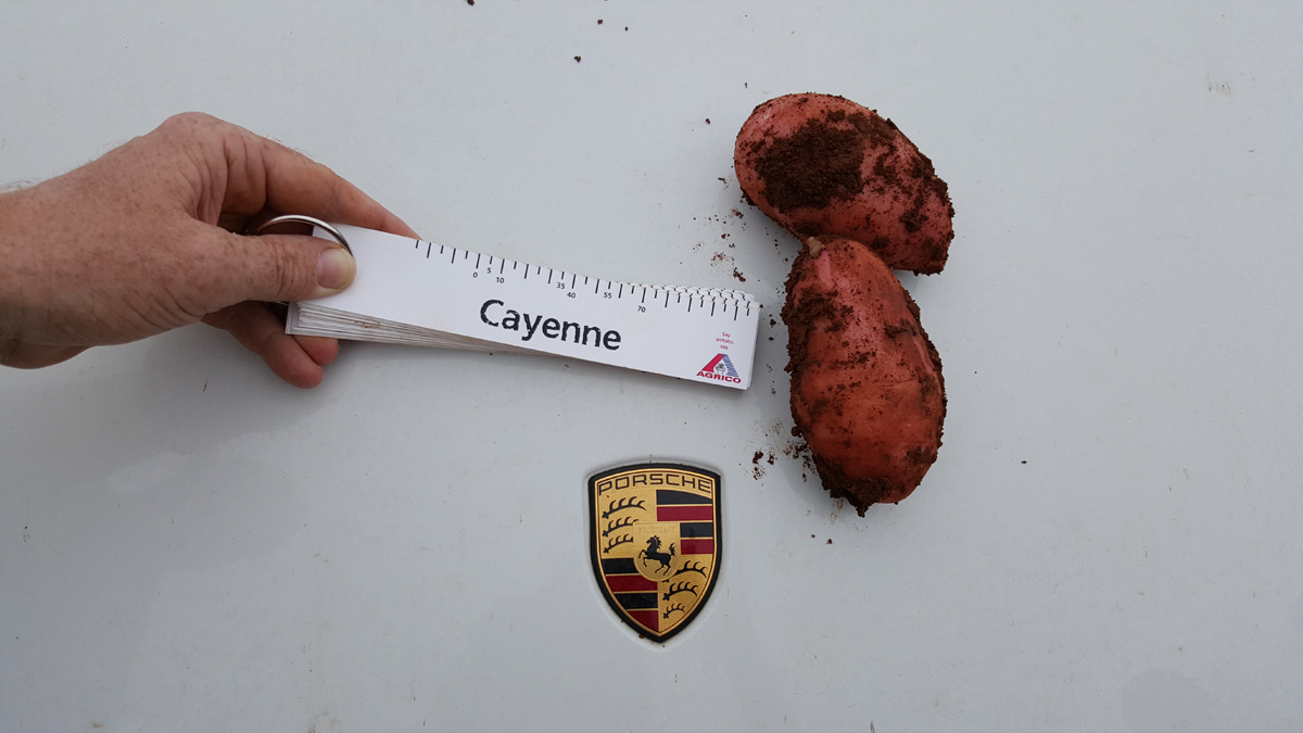 Journée technique dans la région de BERKANE