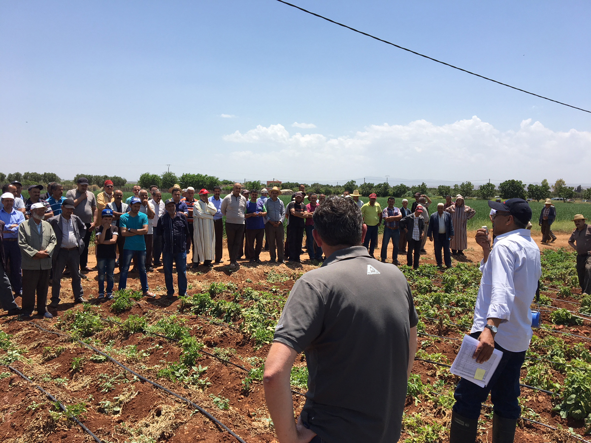 MEKNÈS technical Open day