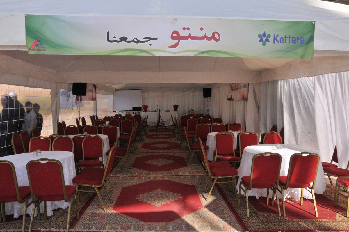 Launch sales in MARRAKECH region