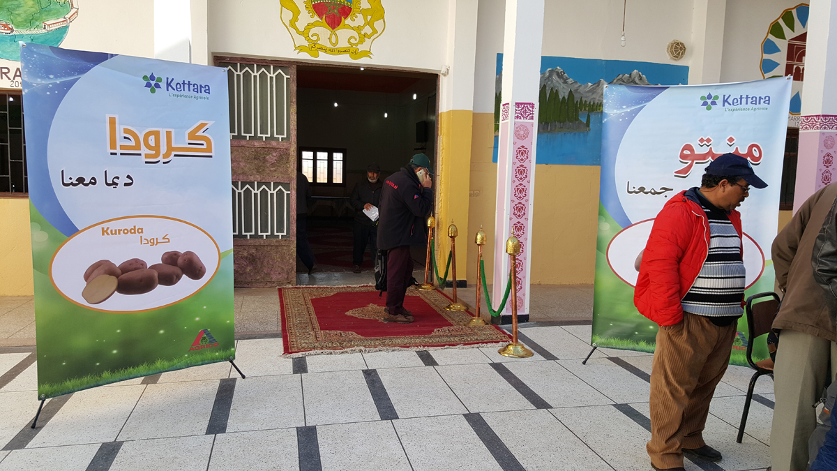 Journée de lancement de la campagne dans la région de MEKNES